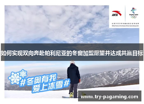 如何实现双向奔赴帕利尼亚的冬窗加盟愿望并达成共赢目标