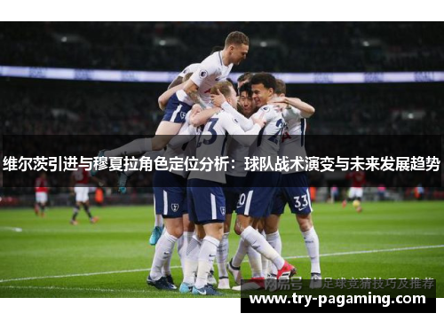 维尔茨引进与穆夏拉角色定位分析：球队战术演变与未来发展趋势