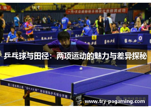 乒乓球与田径：两项运动的魅力与差异探秘
