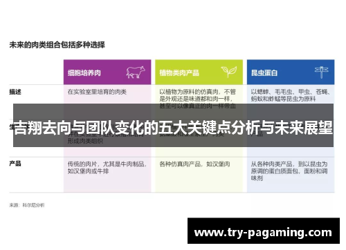 吉翔去向与团队变化的五大关键点分析与未来展望