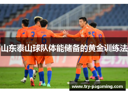 山东泰山球队体能储备的黄金训练法