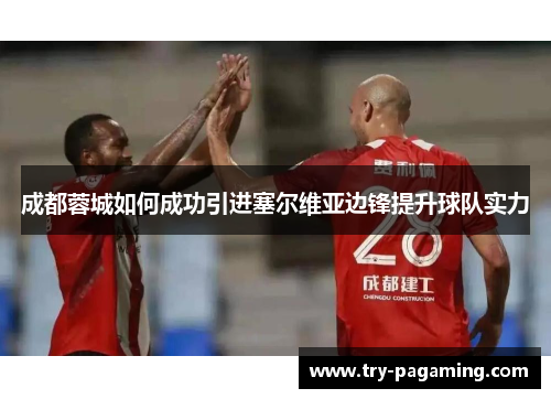 成都蓉城如何成功引进塞尔维亚边锋提升球队实力