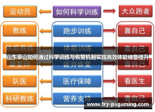 山东泰山如何通过科学训练与恢复机制实现高效体能储备提升