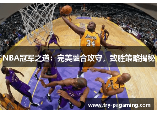 NBA冠军之道：完美融合攻守，致胜策略揭秘