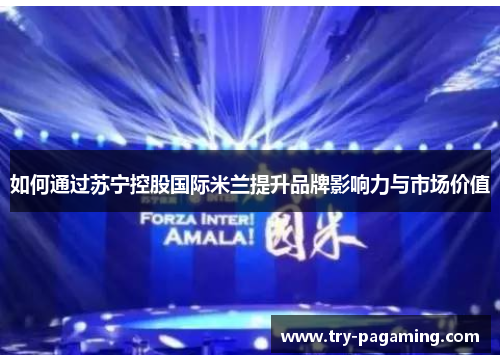 如何通过苏宁控股国际米兰提升品牌影响力与市场价值