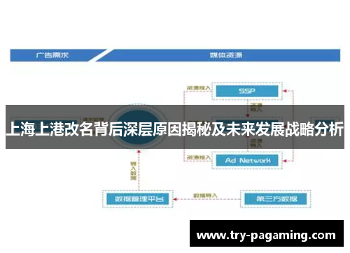 上海上港改名背后深层原因揭秘及未来发展战略分析