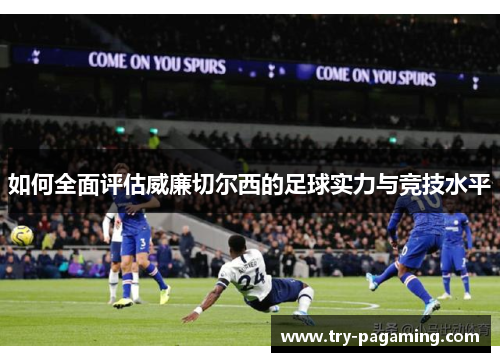 如何全面评估威廉切尔西的足球实力与竞技水平