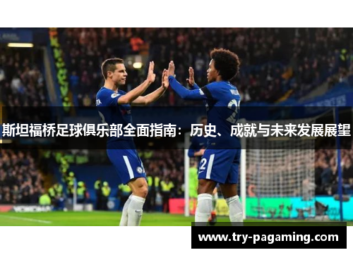 斯坦福桥足球俱乐部全面指南：历史、成就与未来发展展望