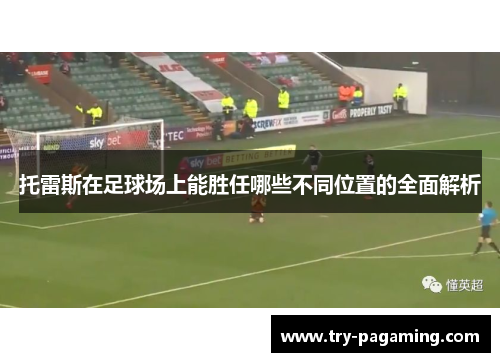 托雷斯在足球场上能胜任哪些不同位置的全面解析
