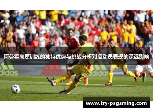 阿劳霍高原训练的独特优势与挑战分析对运动员表现的深远影响