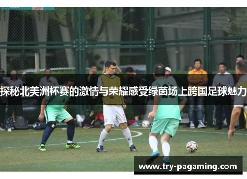 探秘北美洲杯赛的激情与荣耀感受绿茵场上跨国足球魅力