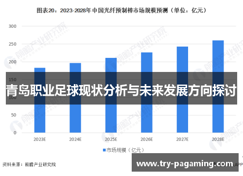 青岛职业足球现状分析与未来发展方向探讨