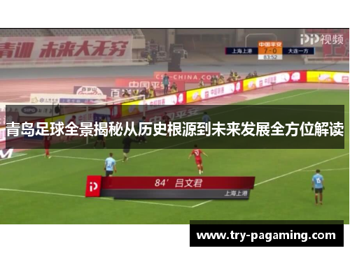 青岛足球全景揭秘从历史根源到未来发展全方位解读