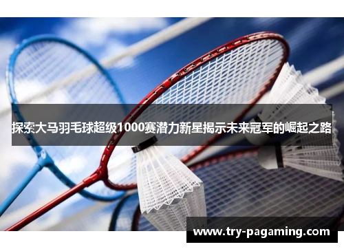 探索大马羽毛球超级1000赛潜力新星揭示未来冠军的崛起之路
